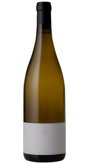 Bourgogne rouge 2023